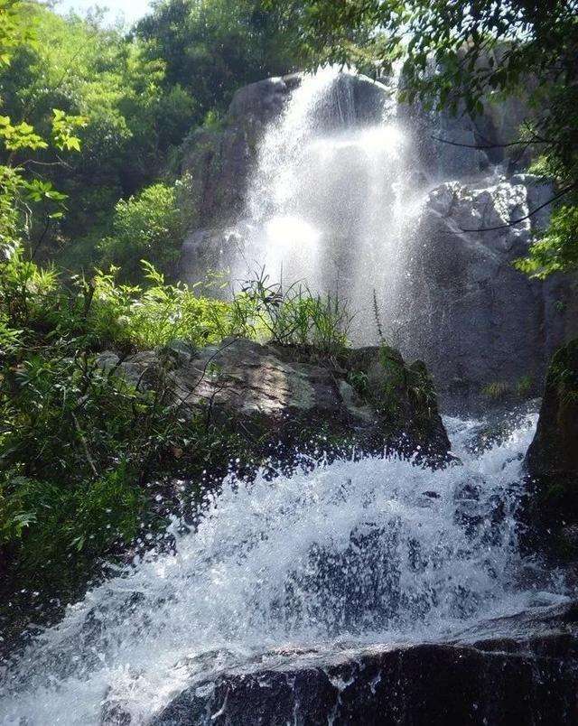 除鬼师